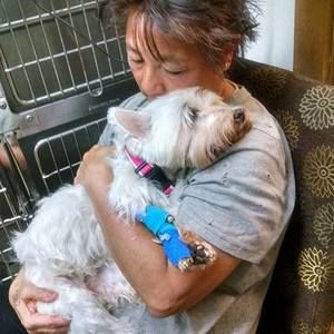 Meet your Posher, Ann